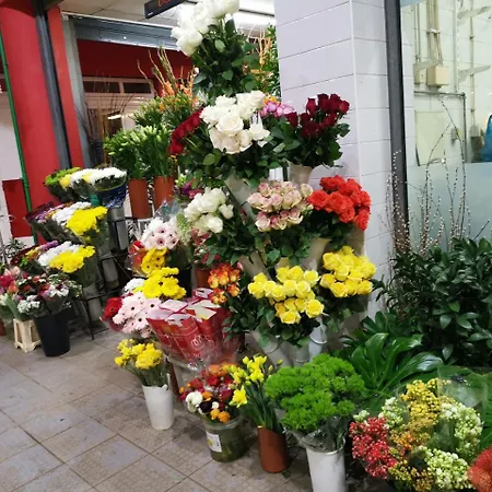 Down Town - Expo23 Apartamento *