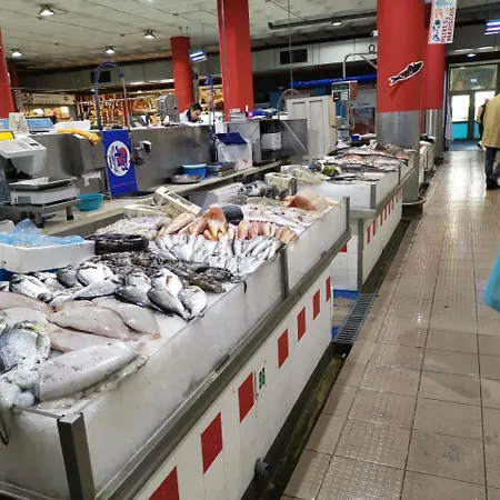 Down Town - Expo23 Apartamento